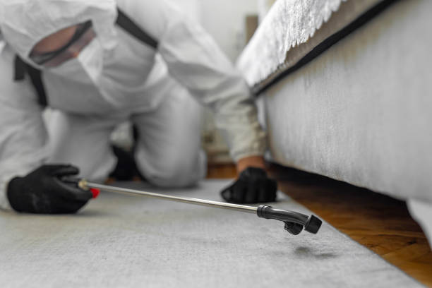 Professional Termite Control technician working in Flossmoor, IL