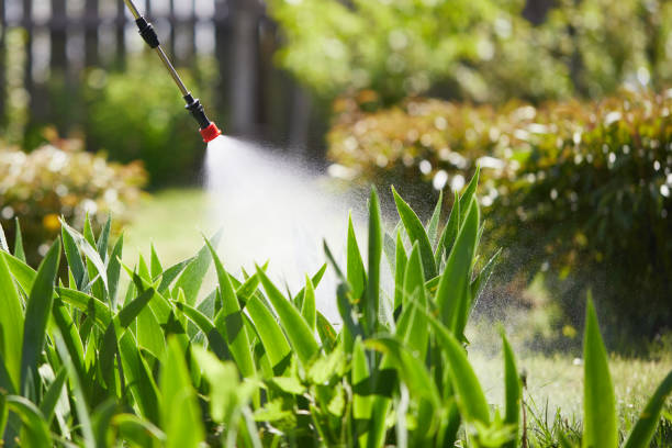 24/7 Emergency Termite Control experts in Flossmoor, IL