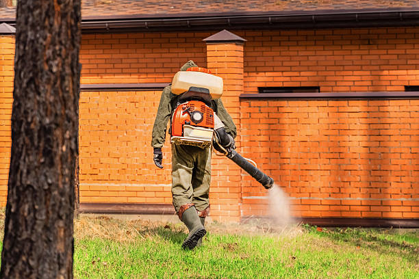 Top rated local Termite Control specialists in Flossmoor, IL